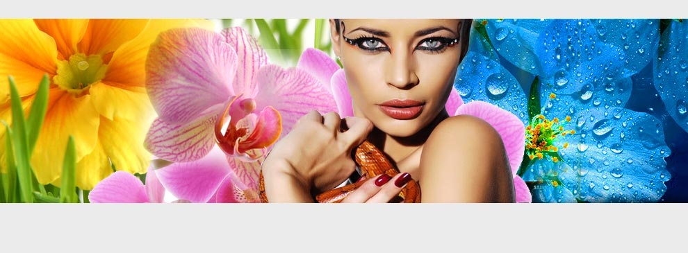 http://web-experiment.info/media/custom/advancedslider/resized/slide-1330421118-jpg/990X365.jpg