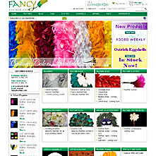 Online feather store with Fans for Burlesque artists and Showgirls