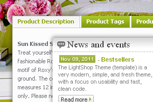 Magento Template features