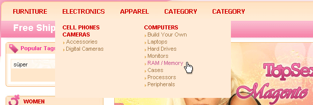 Free Magento Custom Menu