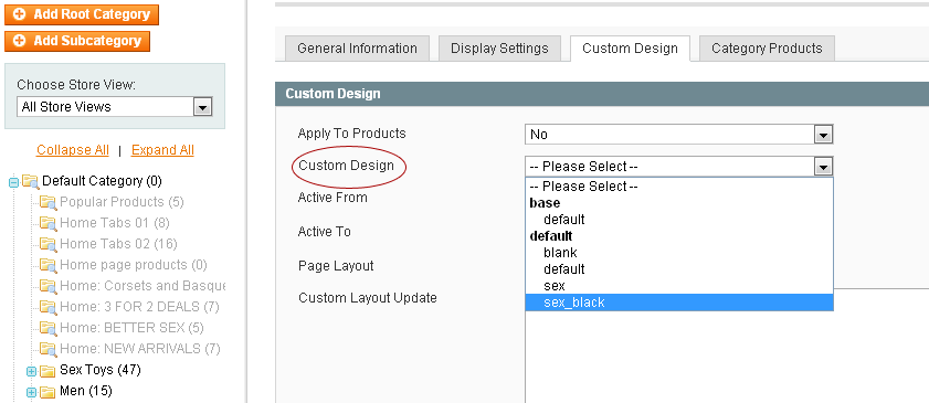 Magento Template skin change