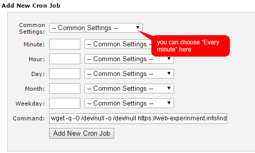 Set cron job at the Hosting Control Panel 